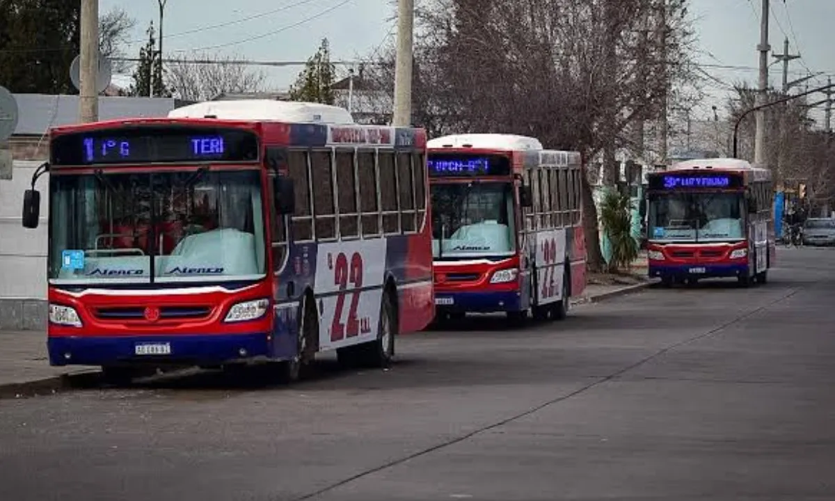 Trelew aprobó el Boleto Combinado para el transporte urbano de pasajeros