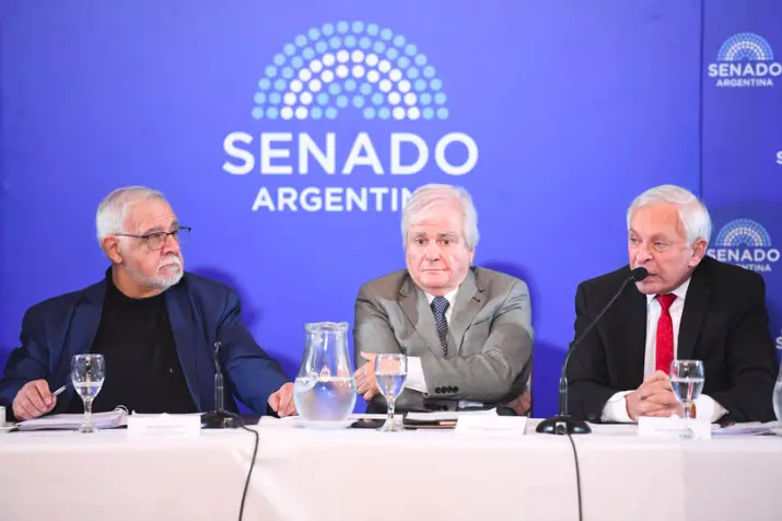 Buscan prorrogar en el Senado el mandato del juez Víctor Pesino antes de sus 75 años