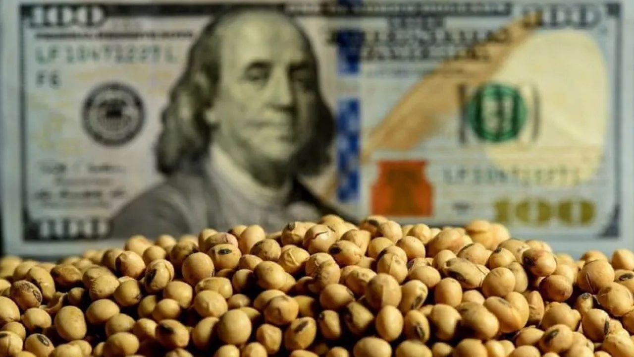 Dólares del campo: el agro liquidó US$ 3.007 millones en junio pero no alcanza el nivel de 2025