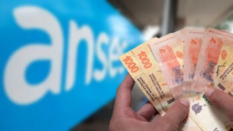 ANSES definió el nuevo monto de la PUAM para agosto: cuánto se cobra con el aumento y el bono