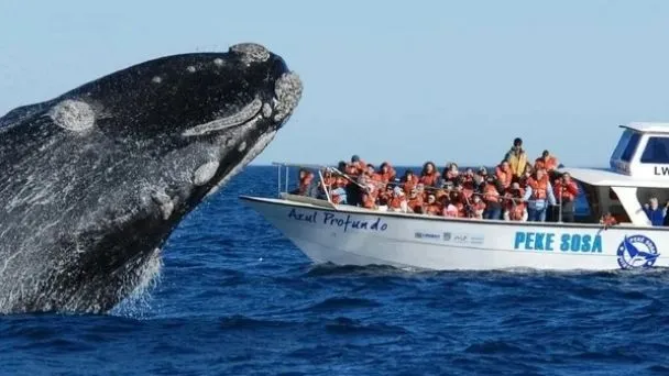 Chubut palpita las vacaciones de invierno: nieve, ballenas y un amplio mapa de propuestas para toda la familia