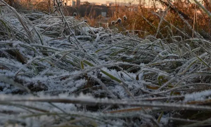 Frío extremo y heladas en Chubut: las mínimas descendieron hasta los -9 °C en el inicio de semana