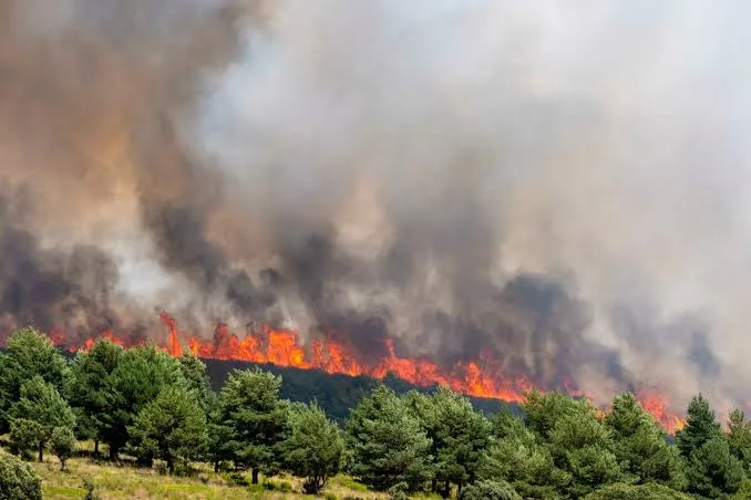Incendios sin control en España y Francia obligan a evacuar a más de 150 mil personas