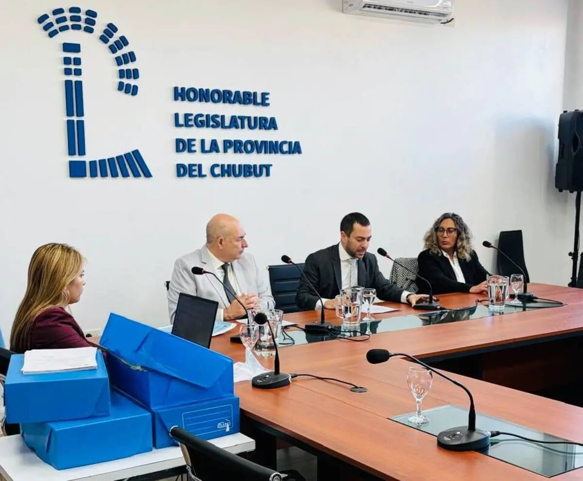 El Tribunal Electoral del Chubut intimará a 22 partidos políticos por incumplir normativas