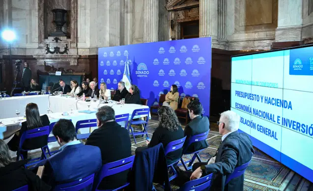 Senado: Apuran el Súper RIGI entre graves alertas