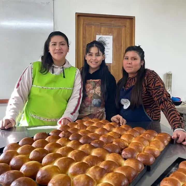 Economía circular, biogás y tecnología: 21 proyectos escolares compiten en la Instancia Provincial de Chubut