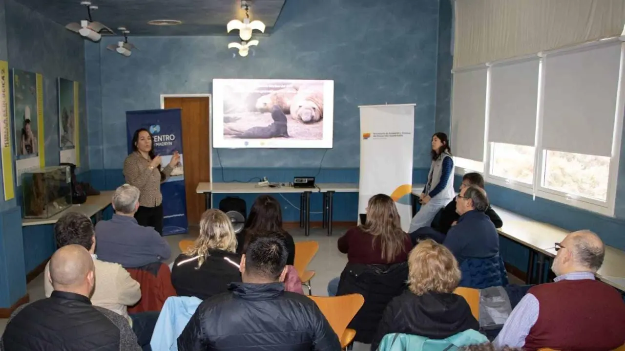 Avanza la implementación de la nueva ley de protección del elefante marino del sur en Chubut