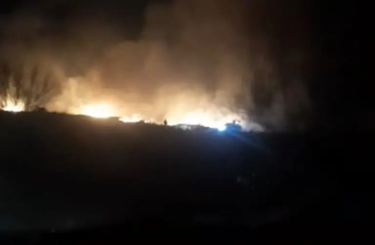 Incendio de pastizales en Ruta 7 moviliza a bomberos en Trelew