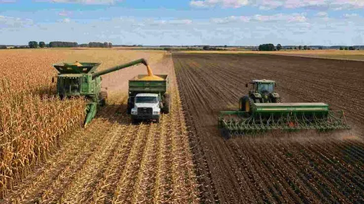 La actividad de la cadena agropecuaria creció un 12% interanual en julio