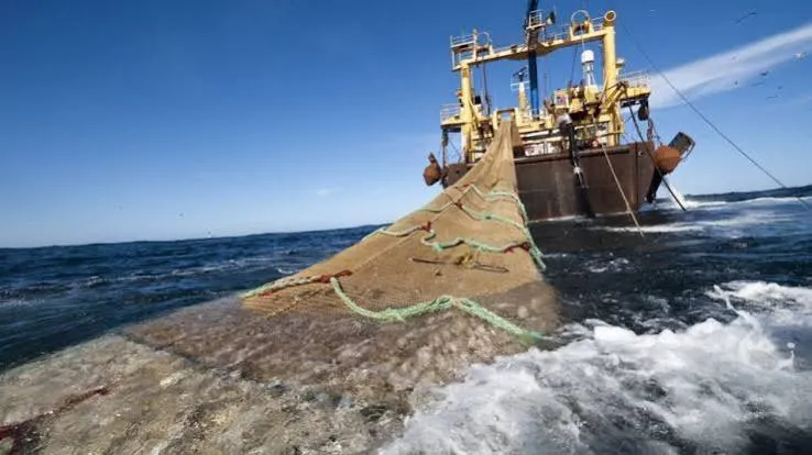 Pesca ilegal: el Estado argentino recaudó más de $5.300 millones en multas a buques extranjeros durante 2026