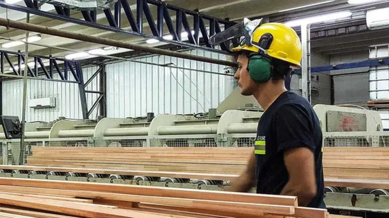 Aumentó el uso de la capacidad instalada de la industria en junio: el desglose sector por sector