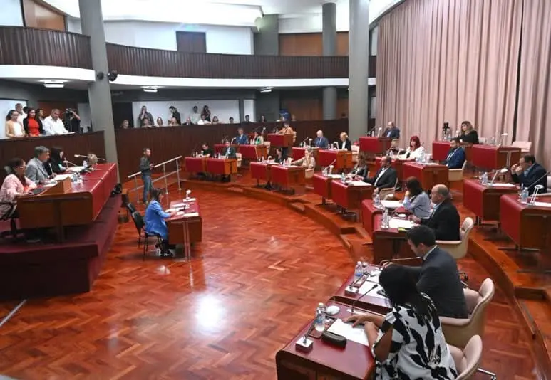 «Herramientas para actuar con rapidez»: la Legislatura debate la Emergencia Hídrica para acelerar obras en Chubut