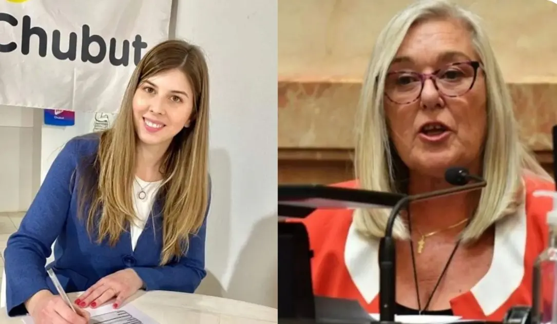 Votación clave en el Senado: cómo impacta la reforma a la Ley de Tierras en Chubut y la Patagonia