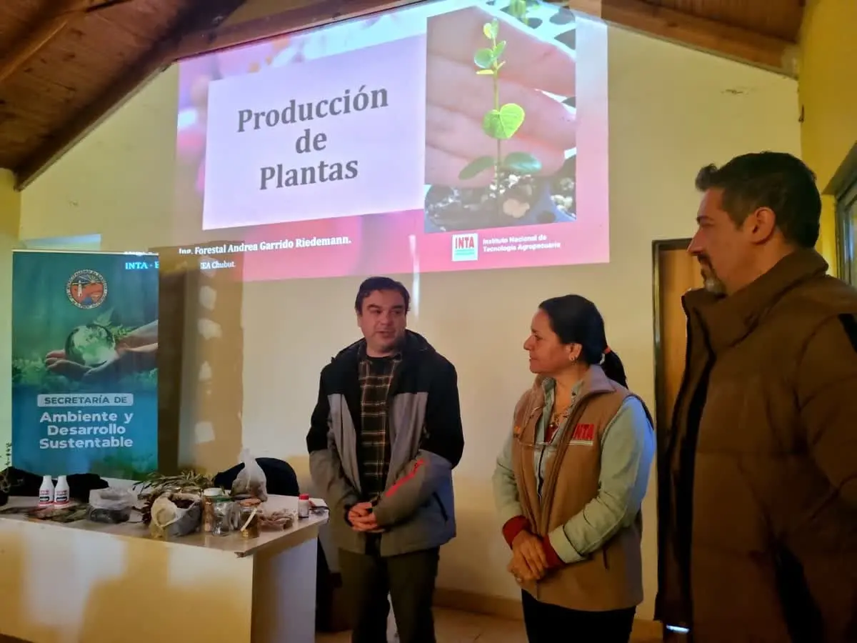 Impulso al ambiente: Rawson y el INTA dictaron un taller de propagación de plantas con cupo lleno