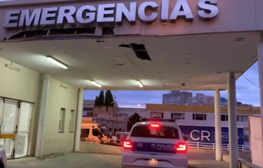 Comodoro: un sargento fue atacado por un Border Collie mientras entregaba una cédula y debieron internarlo