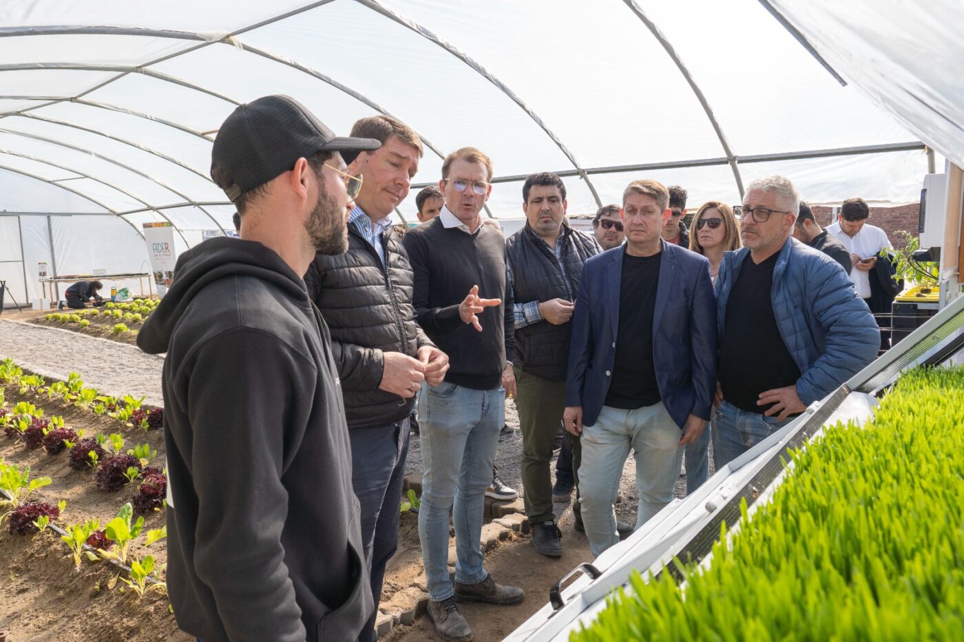 Rawson: ADER sumó un sistema de hidroponía para producción y capacitación