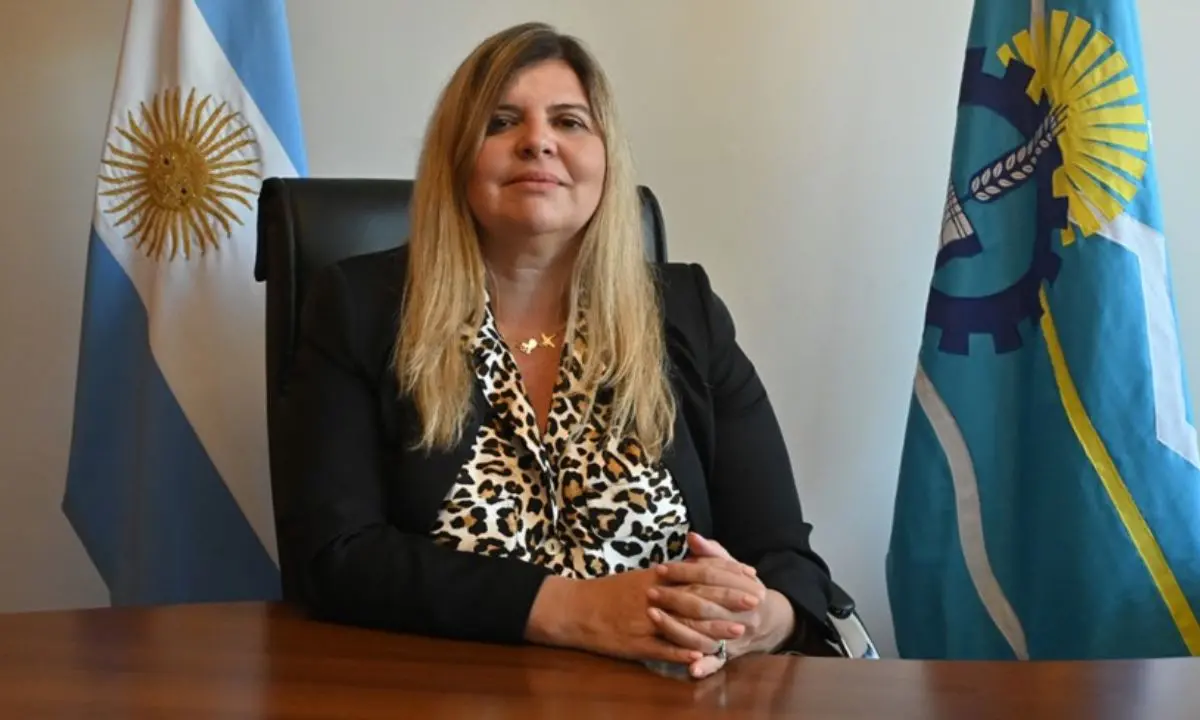 La ministra Camila Banfi analizó los cambios de la Ley 27.801 de Régimen Penal Juvenil en Chubut