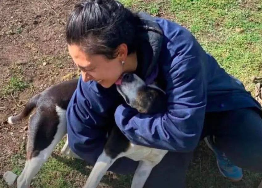 Allanamiento en Cholila por el perro asesinado a balinazos