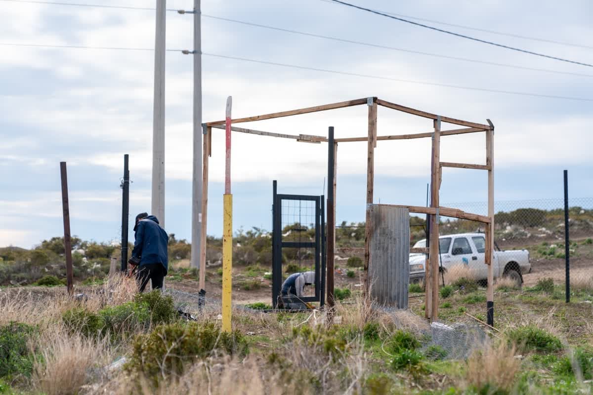 Armazón de tirantes de madera sin paredes