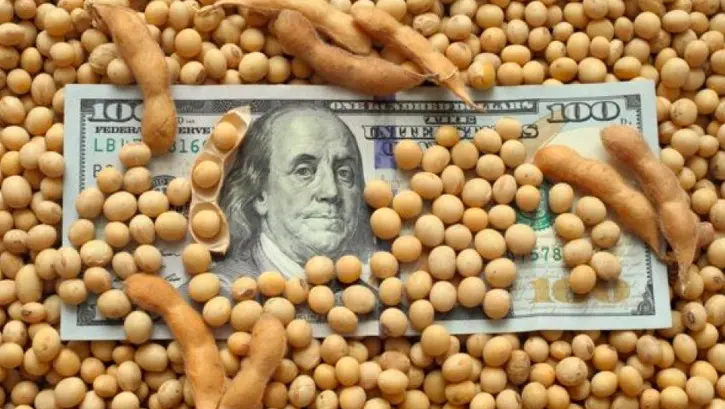 La soja llegó a su precio máximo