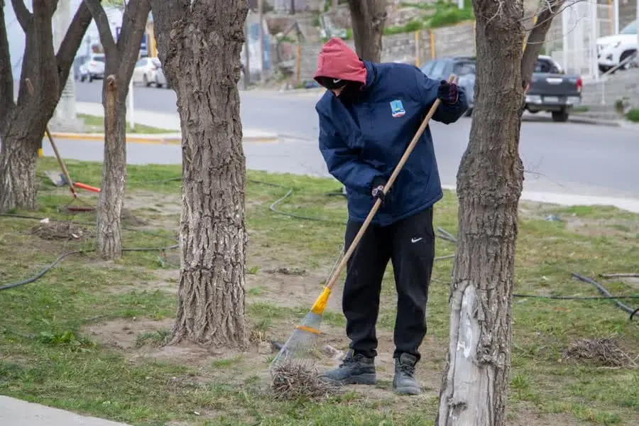 Mantenimiento urbano en Comodoro: cuadrillas del PIL ejecutan desmalezado, poda y limpieza en avenidas y barrios