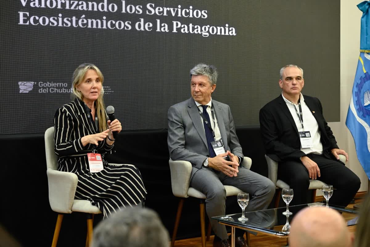 La asesora de Gobierno Gladys González