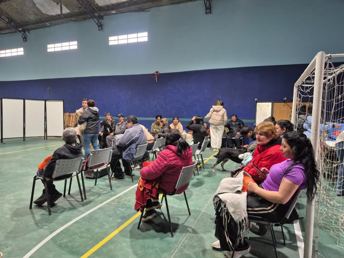 Vecinos con sus mascotas esperando en la sala de atención