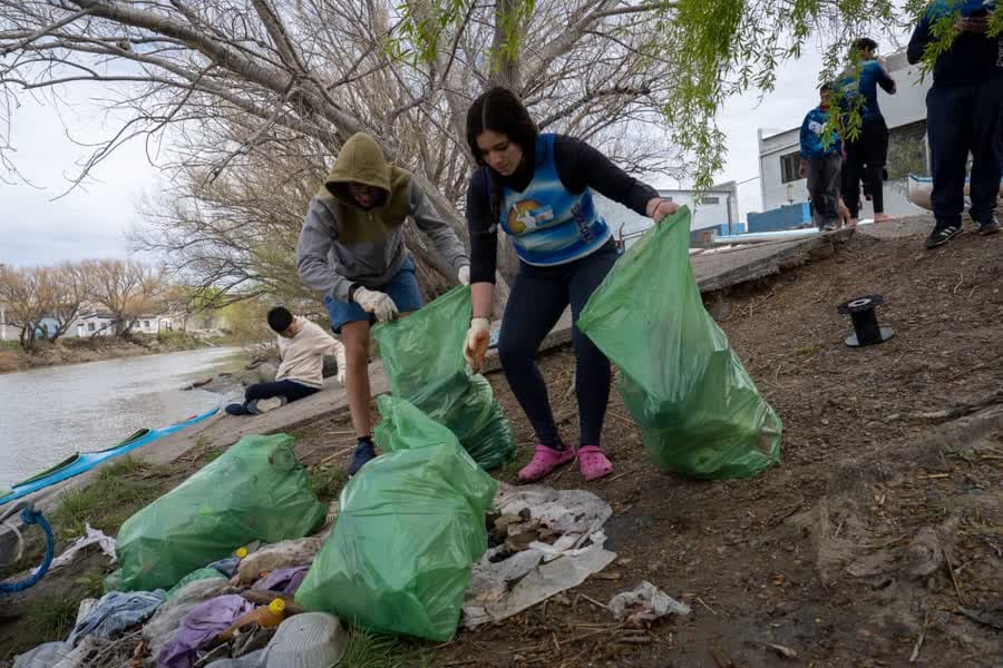 Voluntarios juntando residuos en bolsas verdes