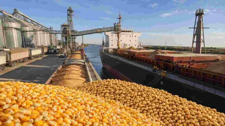 El agro proyecta exportaciones en el mayor nivel de la historia al totalizar US$ 42.200 millones