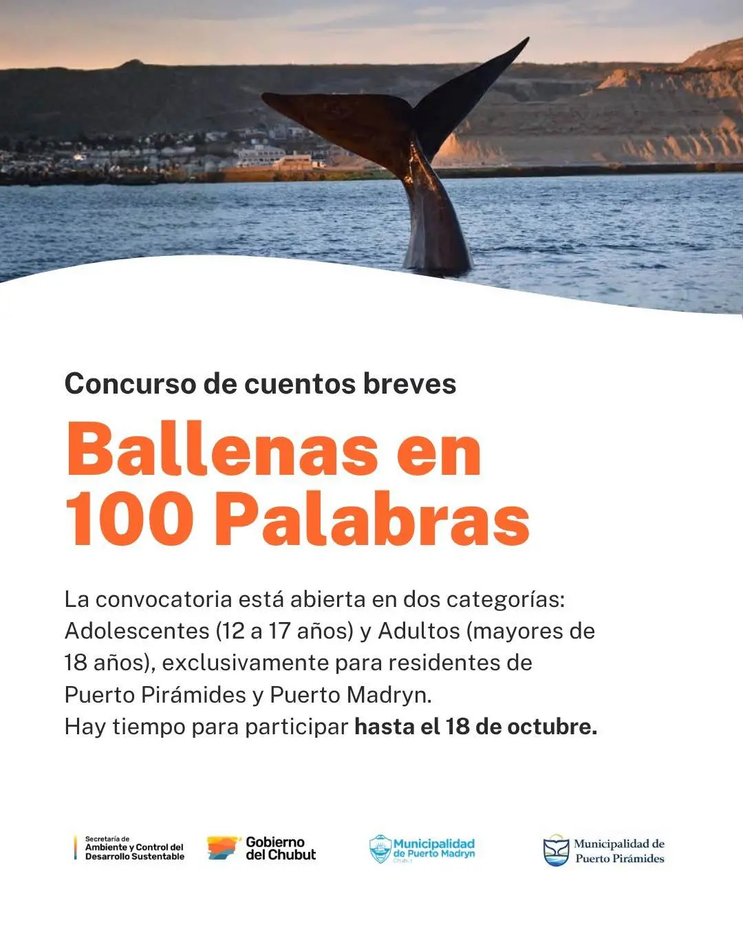 Chubut lanzó el concurso de cuentos breves «Ballenas en 100 palabras» dirigido a vecinos de Puerto Madryn