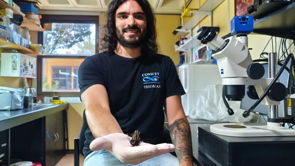 Investigador mostrando en la palma de su mano