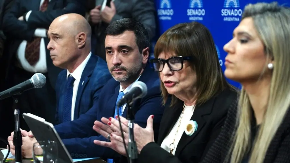 “Para que no dependa de cúpulas”: senadores aliados presionan por las PASO optativas dentro de la Reforma Política