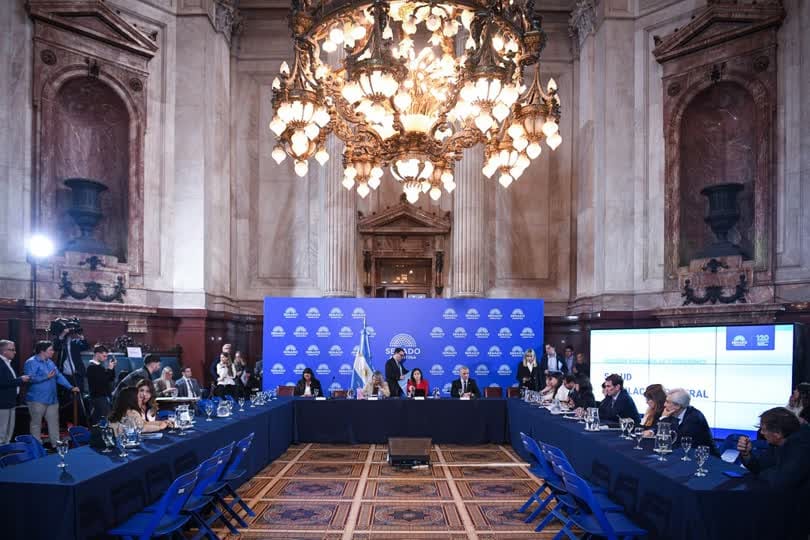 Avanza la reforma de la Ley de Salud Mental: el Senado dictaminó cambios en las internaciones involuntarias y sumó la ludopatía