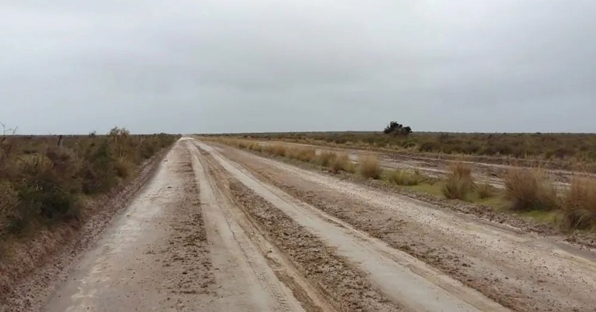 Cerraron de forma preventiva el ingreso al Área Natural Protegida Punta Tombo xCerraron Punta Tombo este sábado por el mal estado del camino