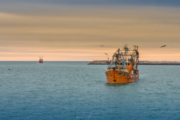 Chubut sancionó la ley para regular los permisos de pesca artesanal en Camarones y Caleta Córdova Chubut sancionó la ley para regular los permisos de pesca