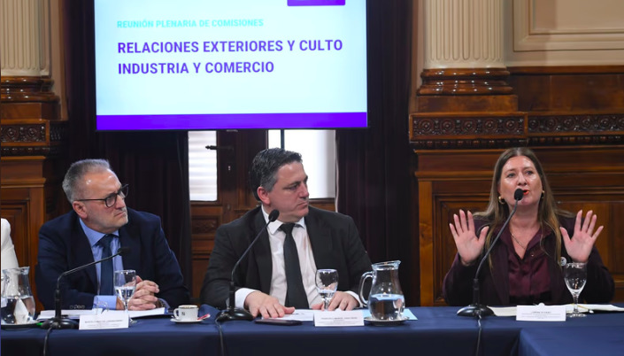 Dictaminan el Tratado de Patentes con reservas