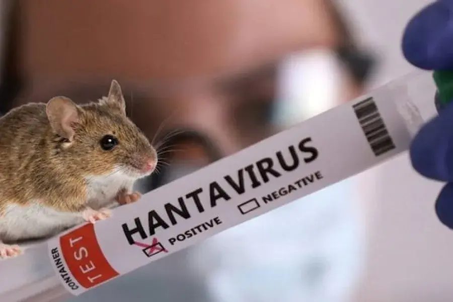 Argentina registró 112 casos de hantavirus y casos en investigación en la Patagonia Hantavirus en Argentina