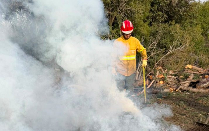 Prohíben quemas forestales en la Comarca Andina