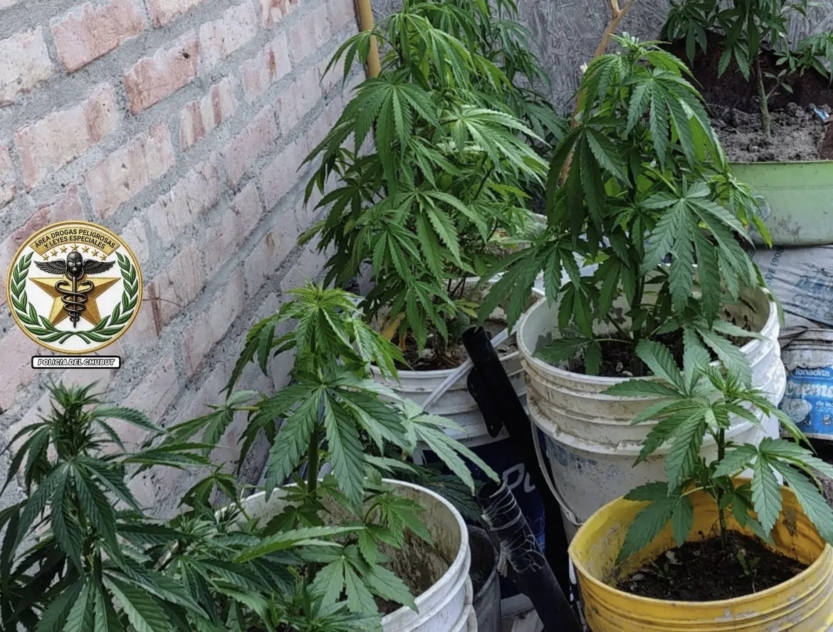 Escándalo en Puerto Madryn: vendía droga a pasos de una escuela