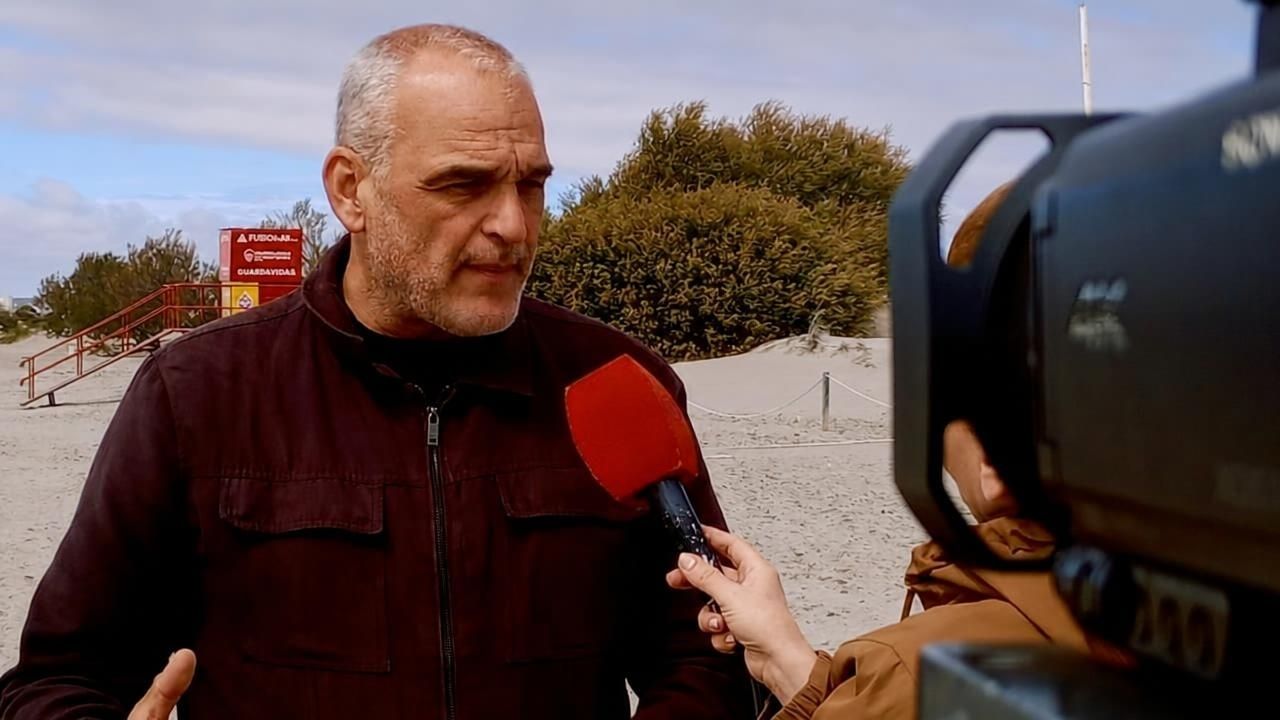 “Son eventos de carácter extraordinario”: investigan la causa de la muerte de ballenas en Puerto Madryn